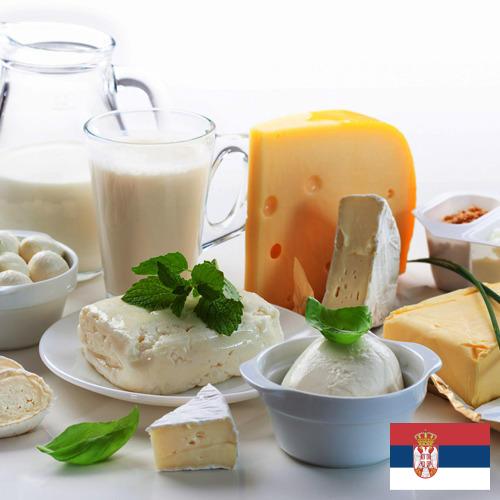 Молочные продукты из Сербии