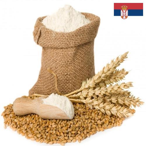 мука пшеничная высший из Сербии