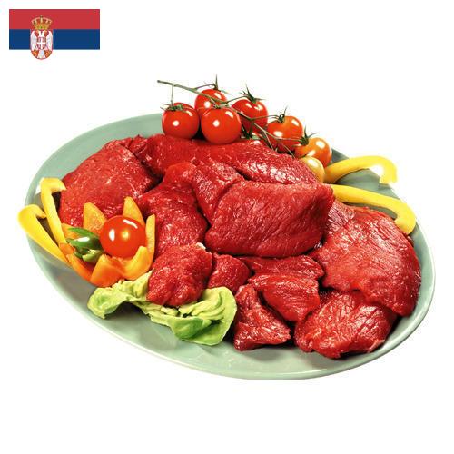 Мясные полуфабрикаты из Сербии