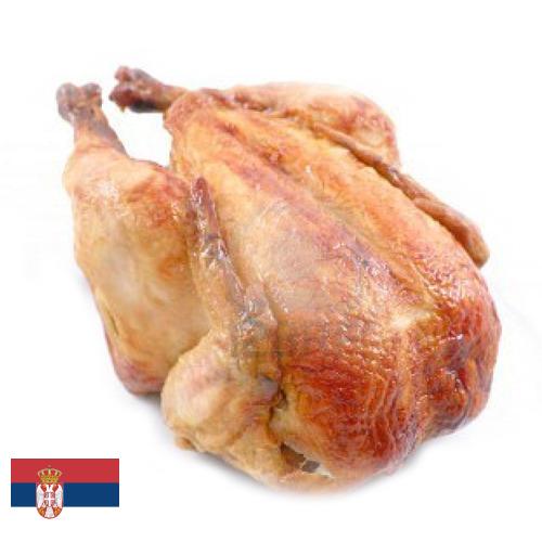 мясо куриное из Сербии