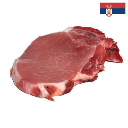 мясо свинина из Сербии
