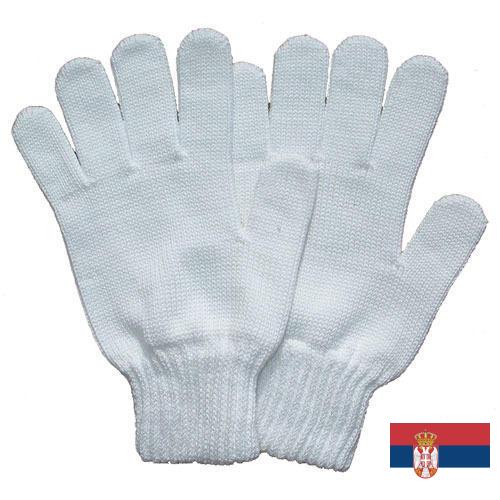 Перчатки хлопчатобумажные из Сербии