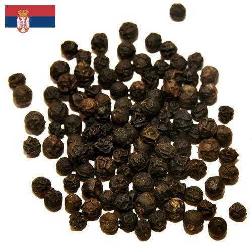 перец черный из Сербии