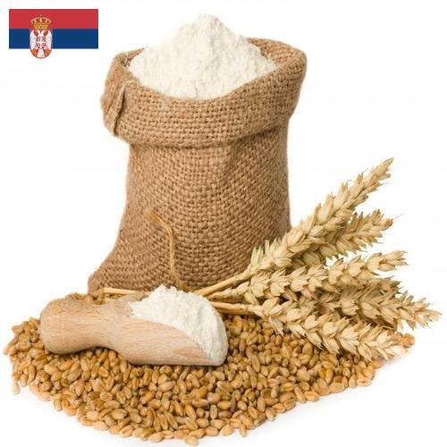 Пшеничная мука из Сербии