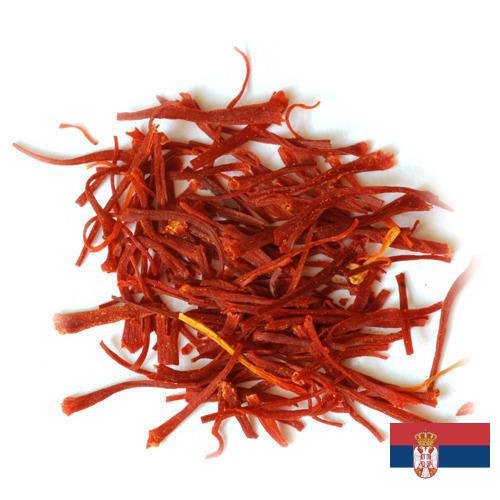 Шафран из Сербии