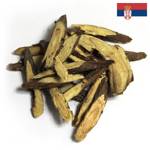 спиртовая настойка из Сербии