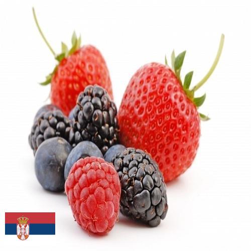 Ягоды из Сербии