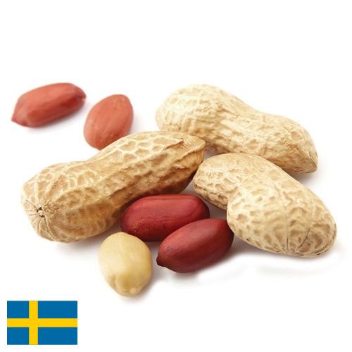 Арахис из Швеции