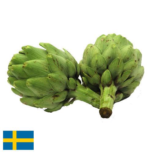 артишок из Швеции