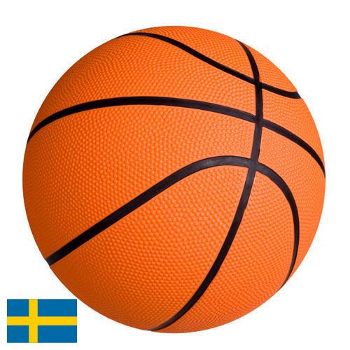 Баскетбол из Швеции