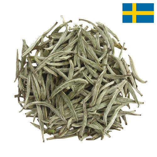 Белый чай из Швеции
