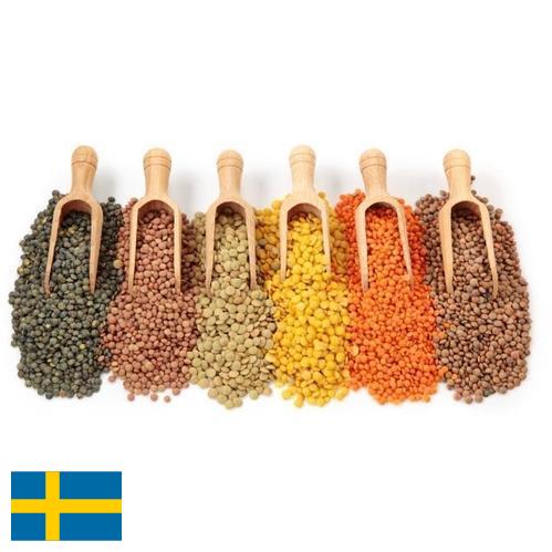 Бобовые культуры из Швеции
