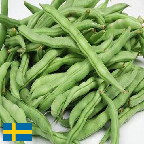 Бобы из Швеции