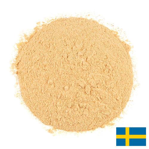 чеснок порошок из Швеции