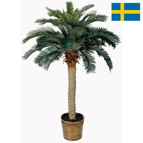 Деревья искусственные из Швеции