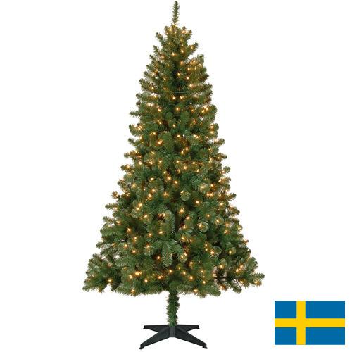Деревья новогодние из Швеции