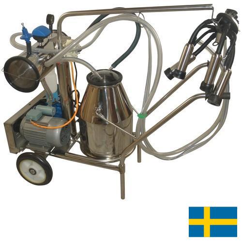 Доильное оборудование из Швеции
