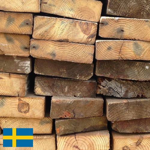 Дрова из Швеции