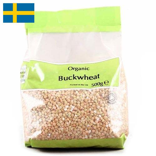 Гречневая крупа из Швеции