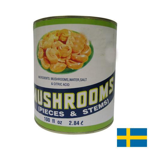 Грибы консервированные из Швеции
