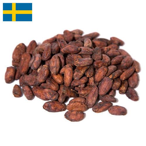 какао-бобы из Швеции