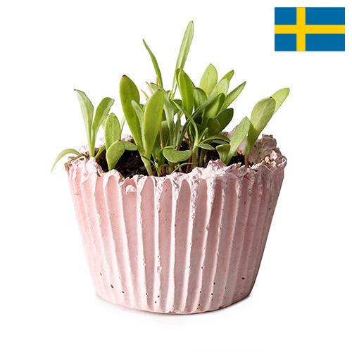 Кашпо из Швеции