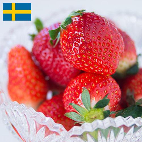клубника замороженная из Швеции