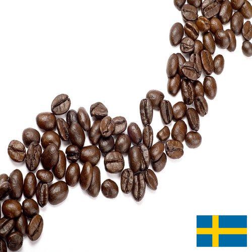 кофе зерновой из Швеции