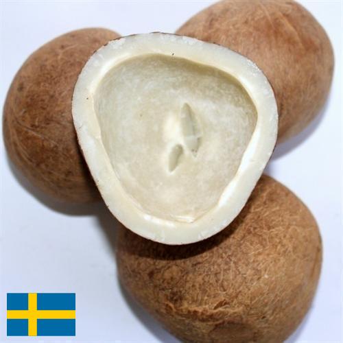 Кокос сушеный из Швеции