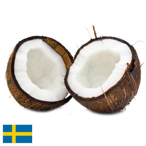 Кокосы из Швеции