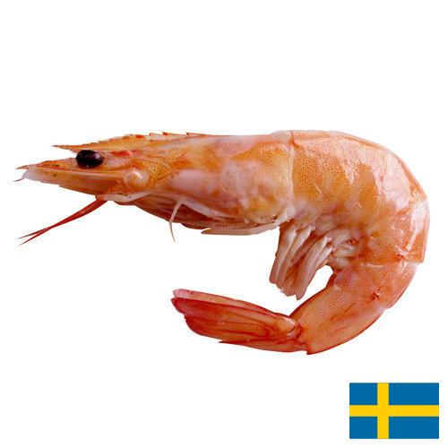 Креветки из Швеции