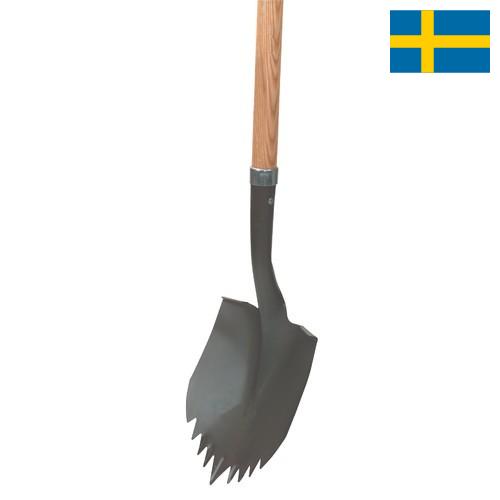 кросовки из Швеции