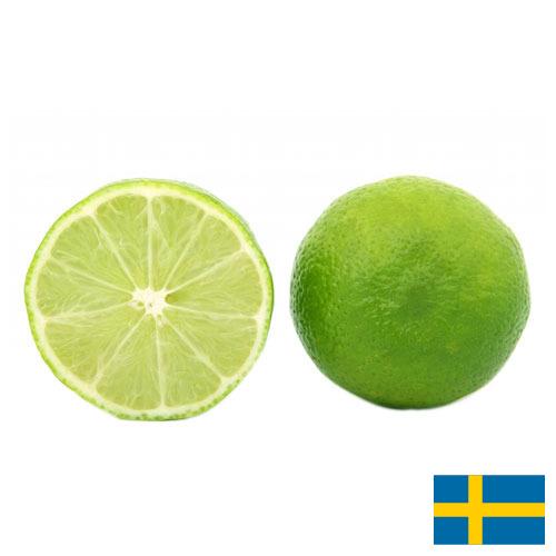 лайм из Швеции
