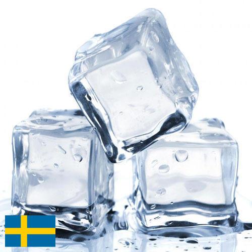 Ледянки из Швеции