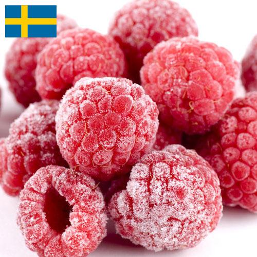 малина замороженная из Швеции