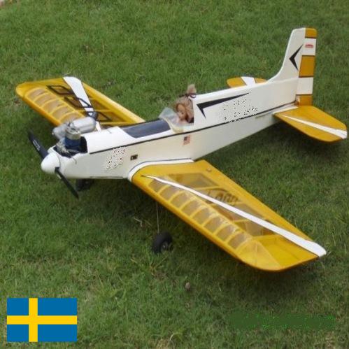 модель самолета из Швеции