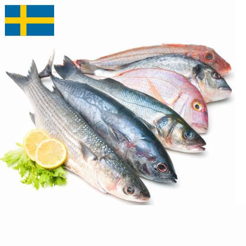 Морепродукты из Швеции