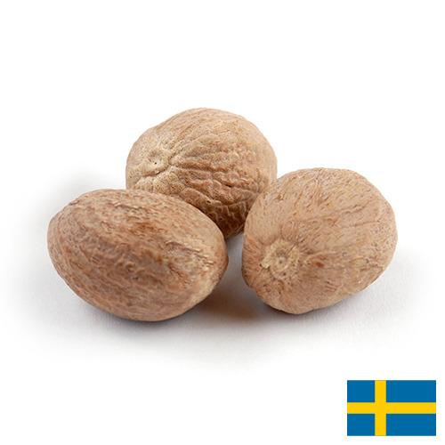Мускатный орех из Швеции