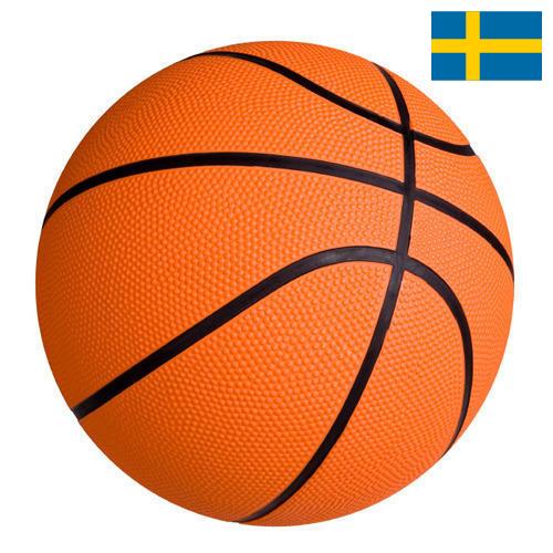 Мячи баскетбольные из Швеции