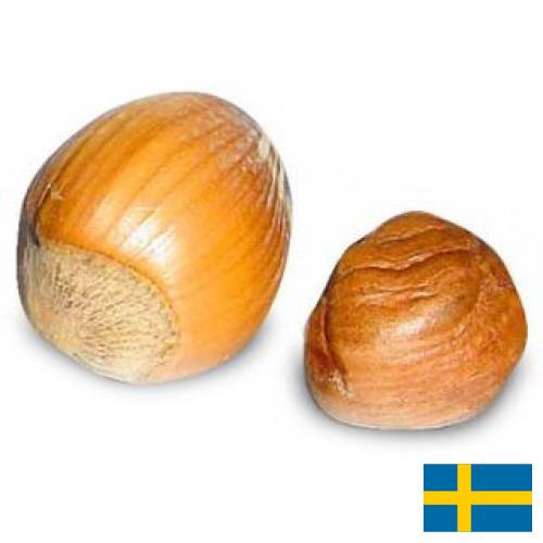 орех фундук из Швеции