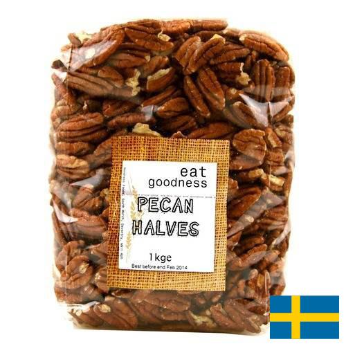 Орехи пекан из Швеции