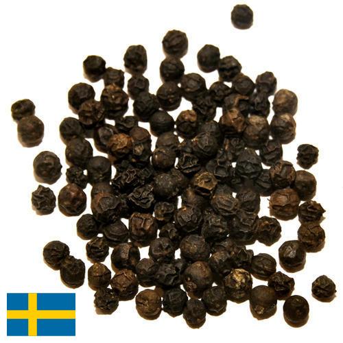перец черный из Швеции