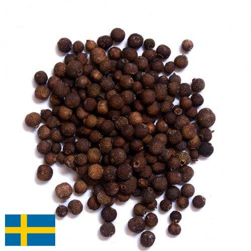 Перец душистый из Швеции