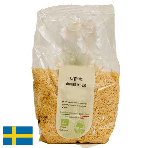 пшеница твердая из Швеции