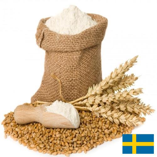 Пшеничная мука из Швеции
