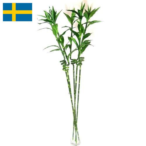 Растения искусственные из Швеции