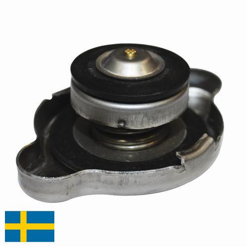 Решетка радиатора из Швеции