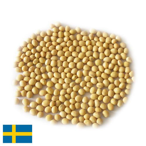 Семена сои из Швеции
