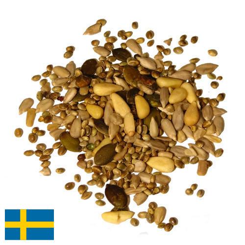 Семена из Швеции