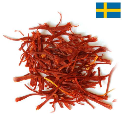 Шафран из Швеции